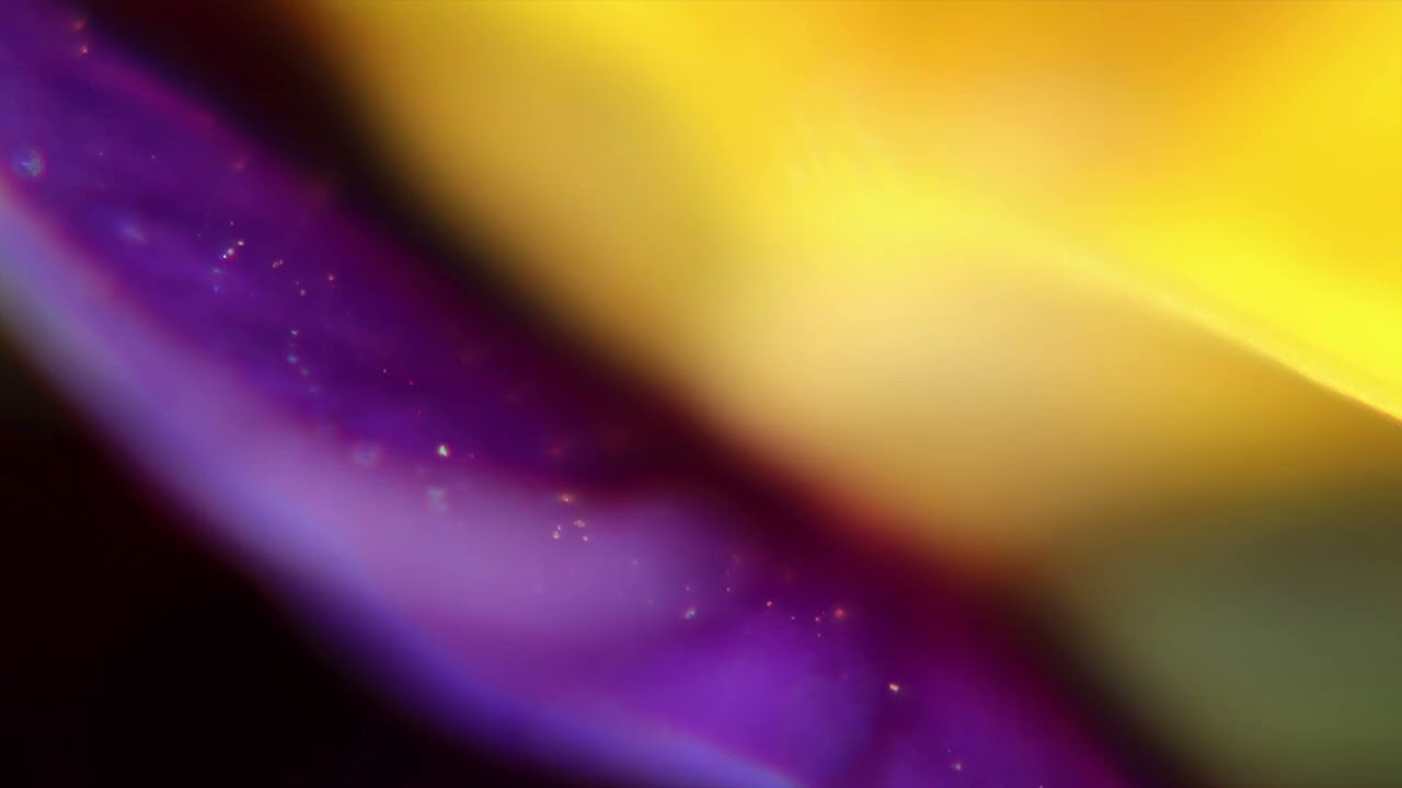 Powerful Manifesting Meditation as Source Essence flowing through