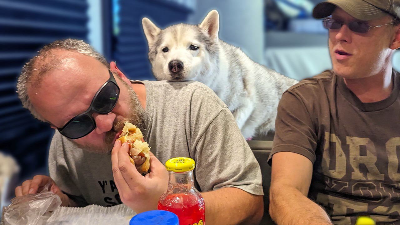 Will My Dog Get a Bite of His Food?