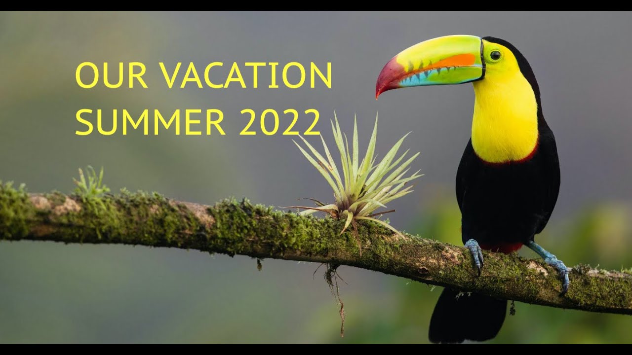 Summer Vacation Vol_I