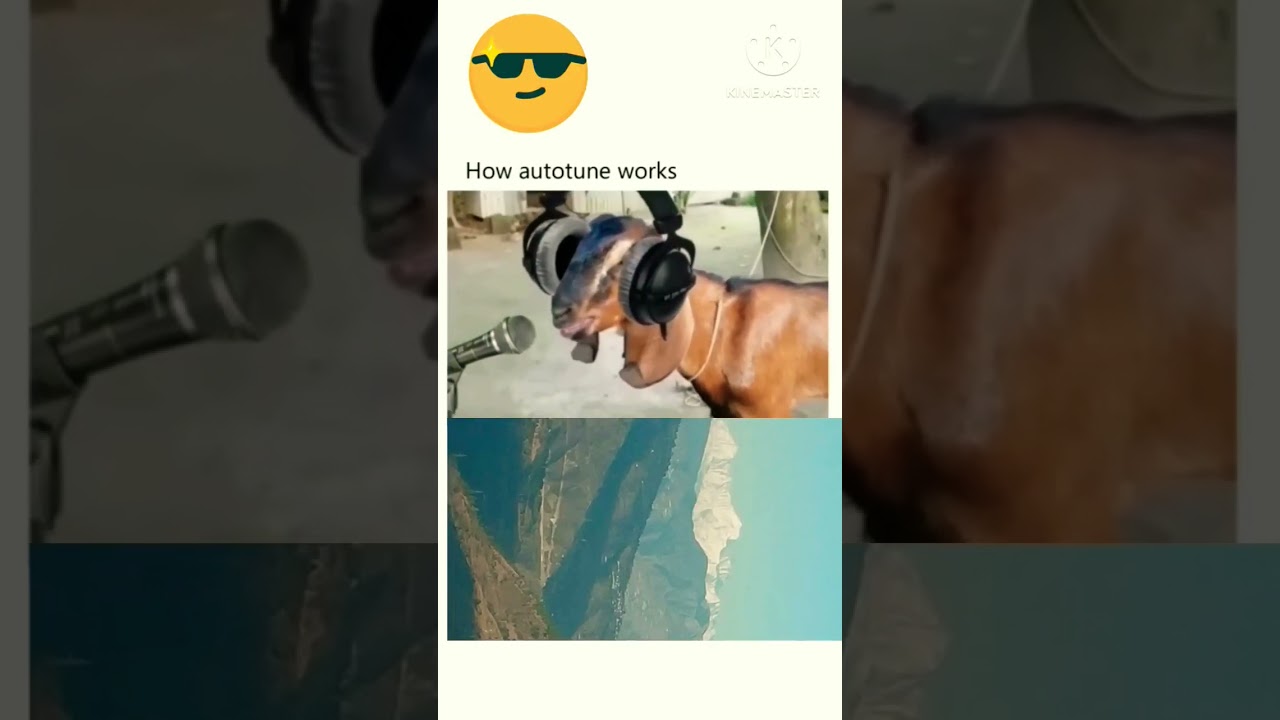 बकरा! bakra song, real, original voice, just play, bakra 🎵