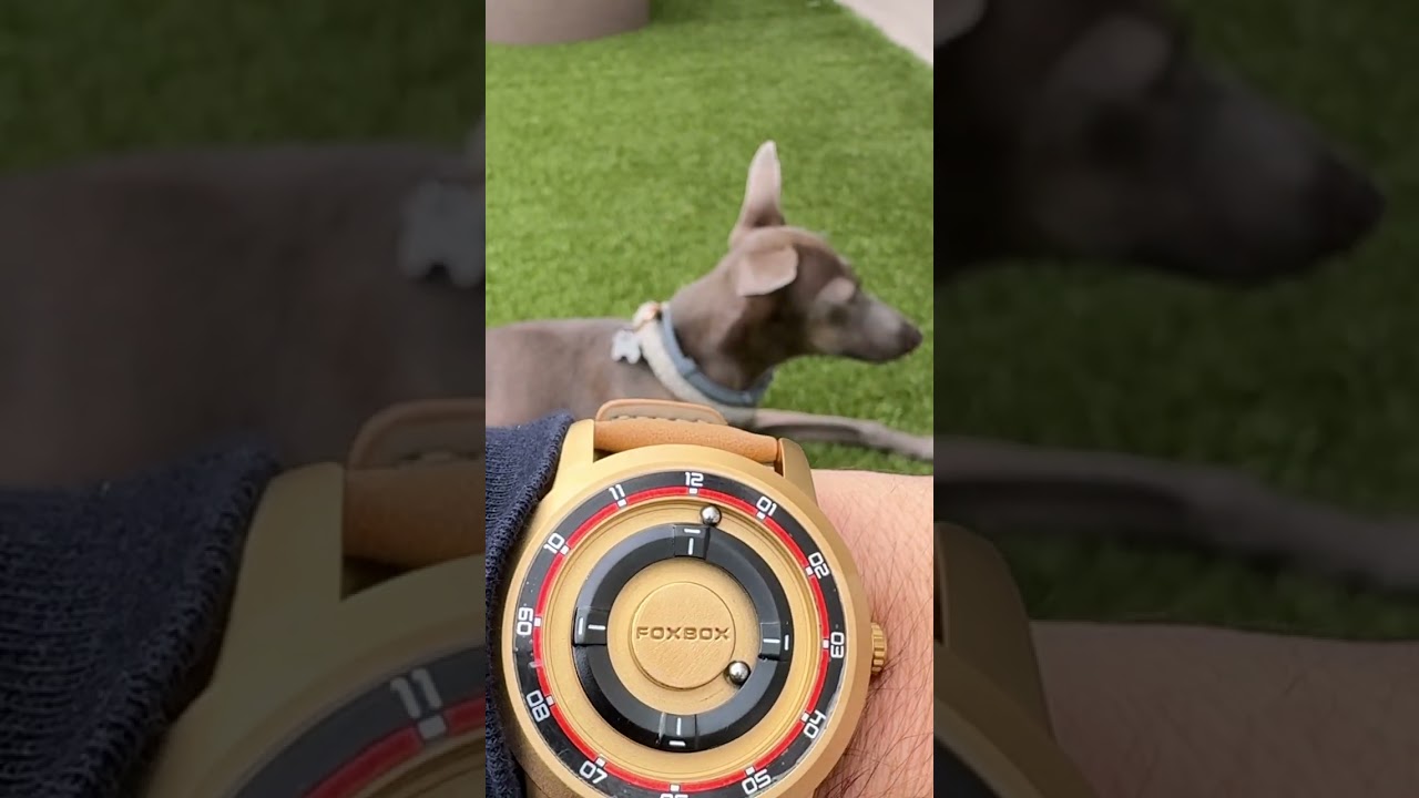 Magnetic watch #watch #watchcollection #foxbox