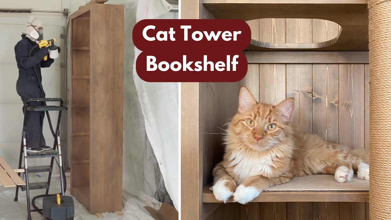 I built a giant bookshelf for my cats!