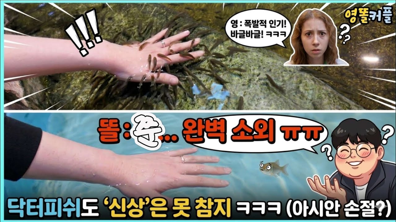 평점 5점 실내 동물원에 영이 동생 발견 ㅋㅋㅋ