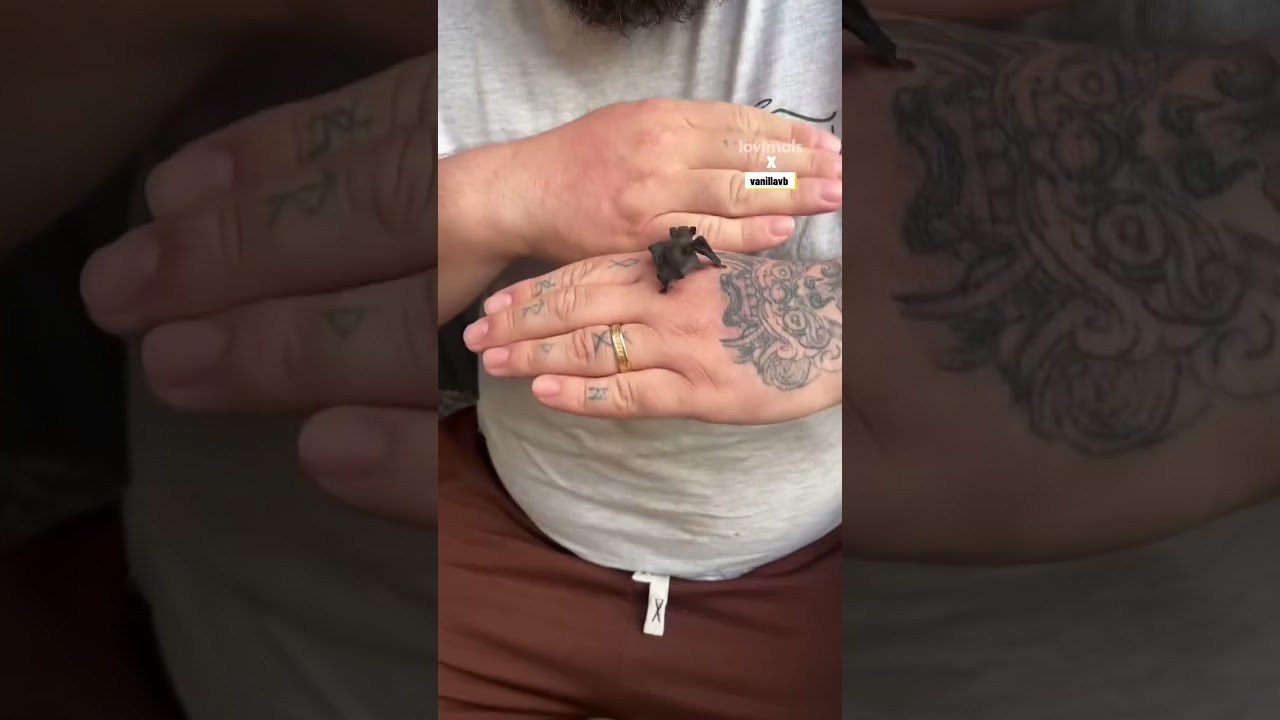 This couple rescued a tiny baby bat 🦇🥰