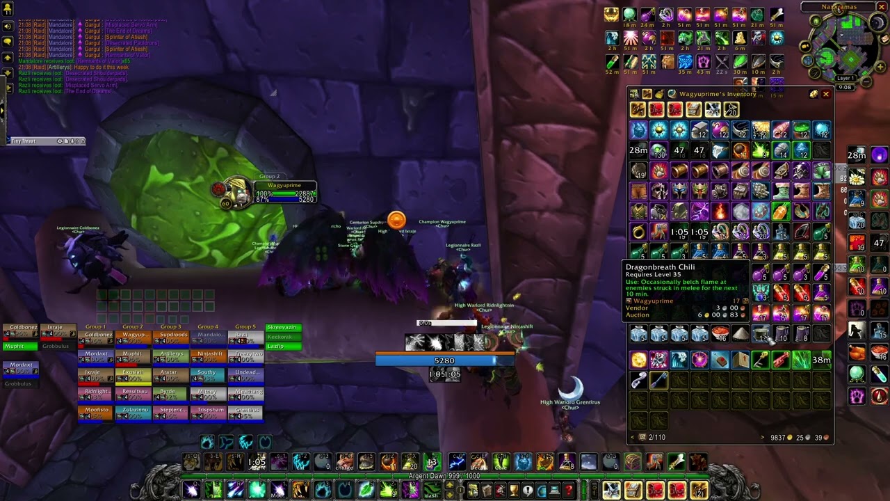 SoD Naxxramas [Chur] 15/15 Mythic Pumper Feral DPS PoV 30/03/25