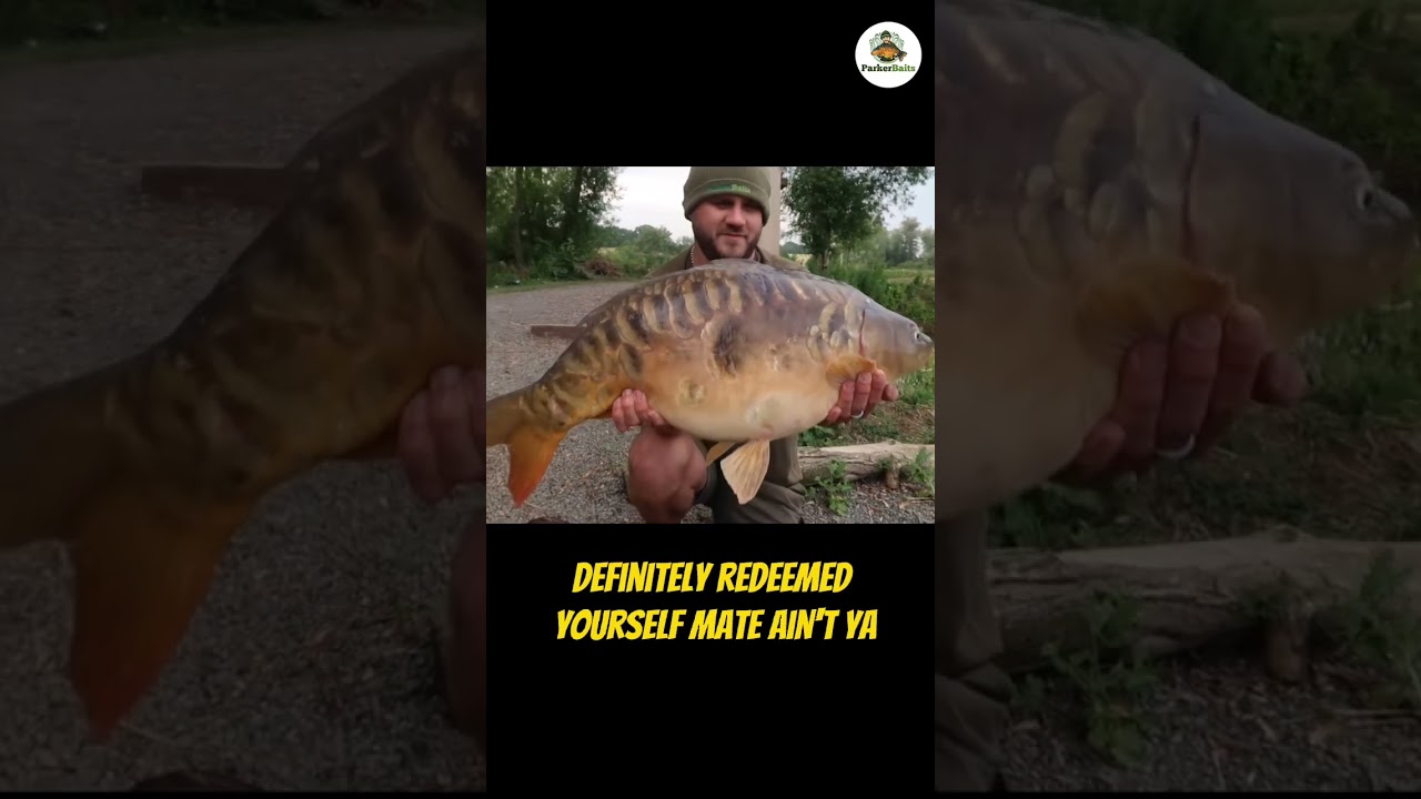 Stunning Scaley Banger! Carp Fishing Hilton Valley Carp Fishery Essex!