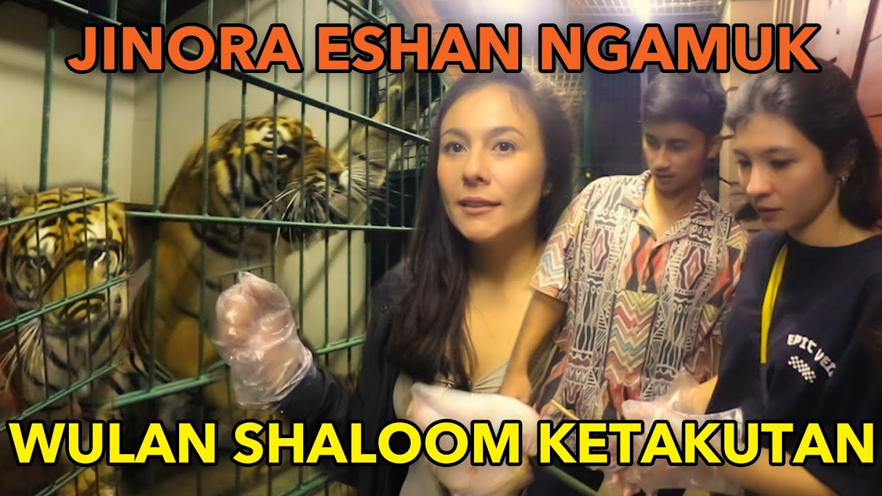 ESHAN JINORA NGAMUK WULAN SHALOOM KETAKUTAN