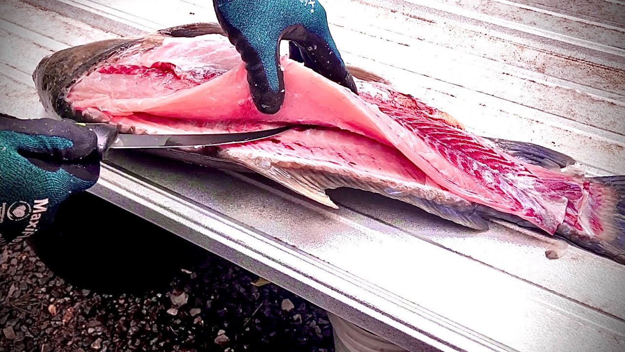 Turning “trash fish” into a delicacy!