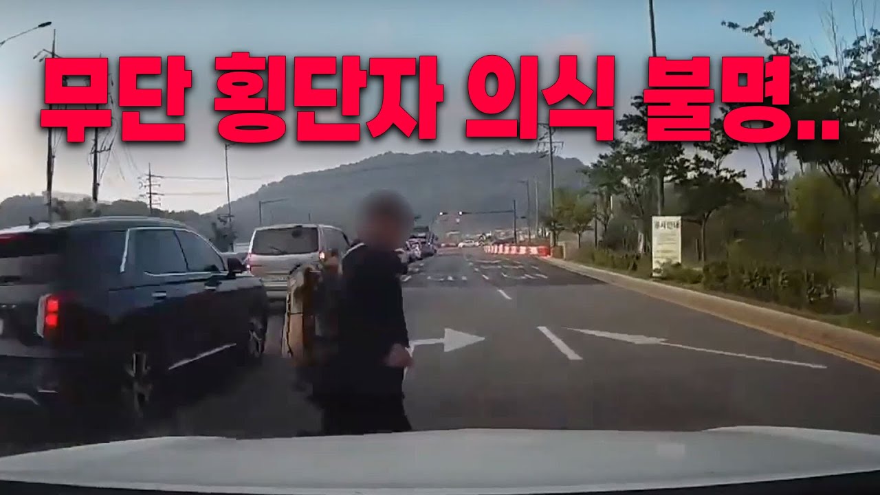 25603회. 아침 출근길에 차들 사이에서 나와 무단 횡단하는 보행자와 사고 났습니다.. 현재 의식 불명이라 합니다..
