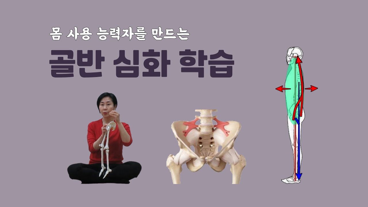 [마름모코어 시즌 1-309] 골반 심화 학습 / 몸에서 골반을 관통해 바닥을 밀어낼 때 사용되는 골반 근육과 반중력에 사용되는 골반 근육