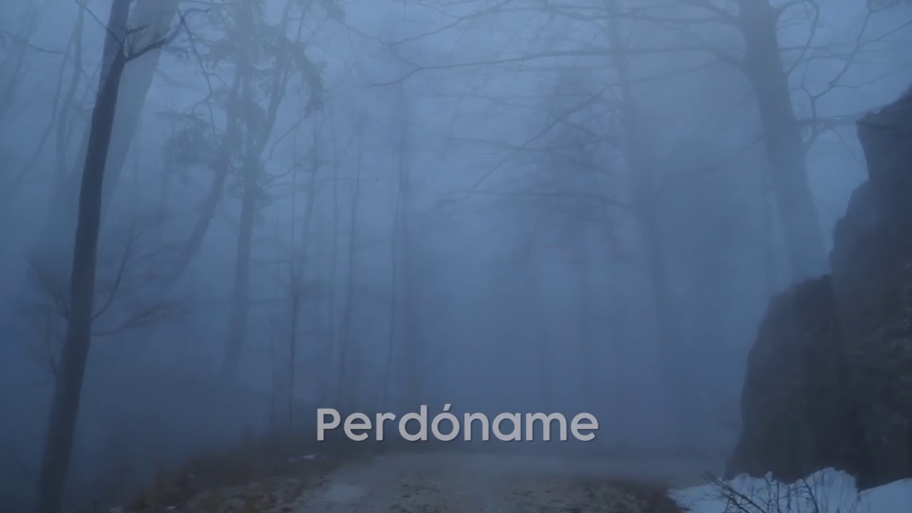 Perdoname - Steve Green