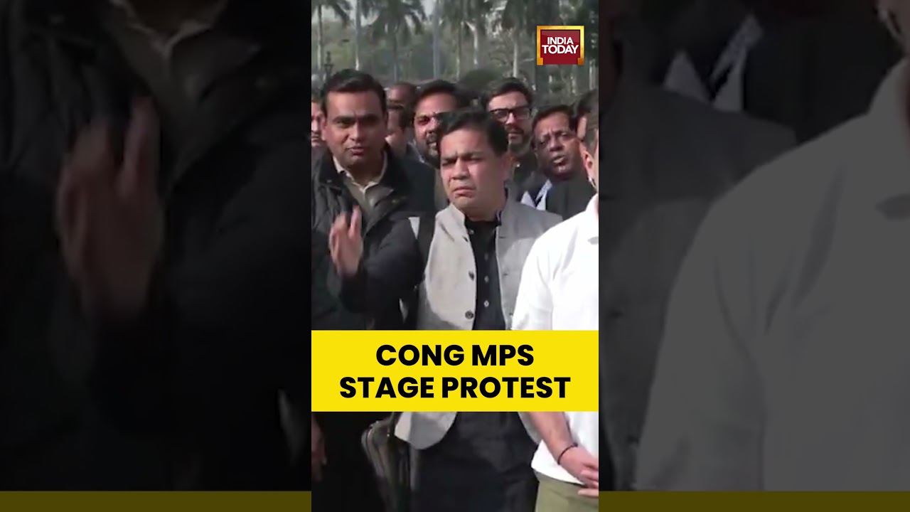 Cong MPs Stage Protest After 8 Opposition MPs Suspended