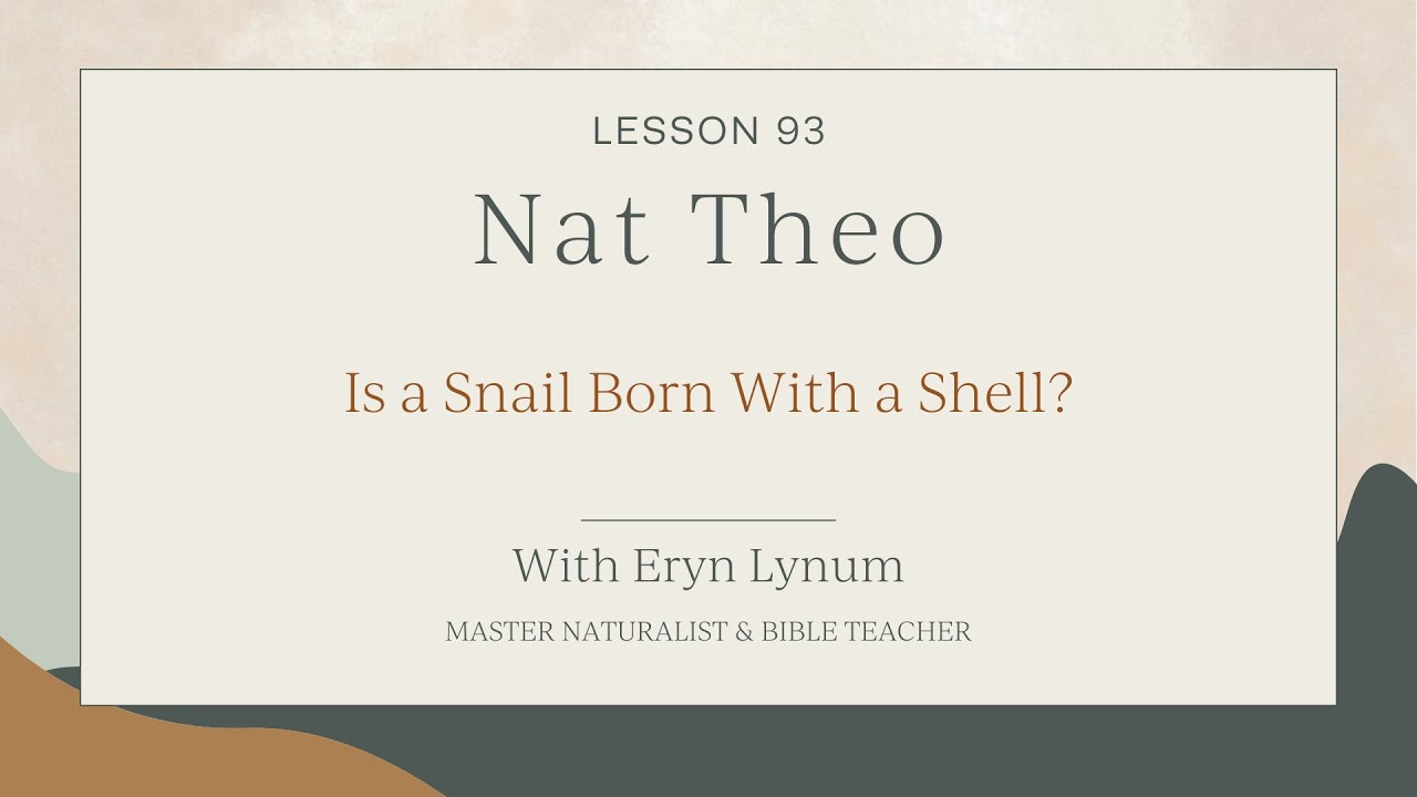 Is a Snail Born With a Shell? Lesson 93
