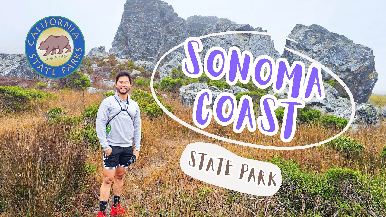 Sonoma Coast State Park: A Hiker’s Paradise of Natural Beauty