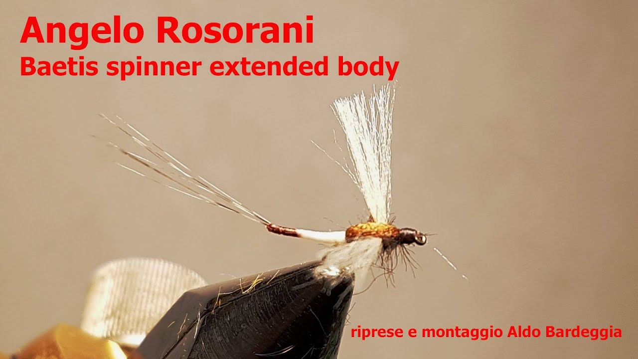 Rosorani spinner 2 ext body