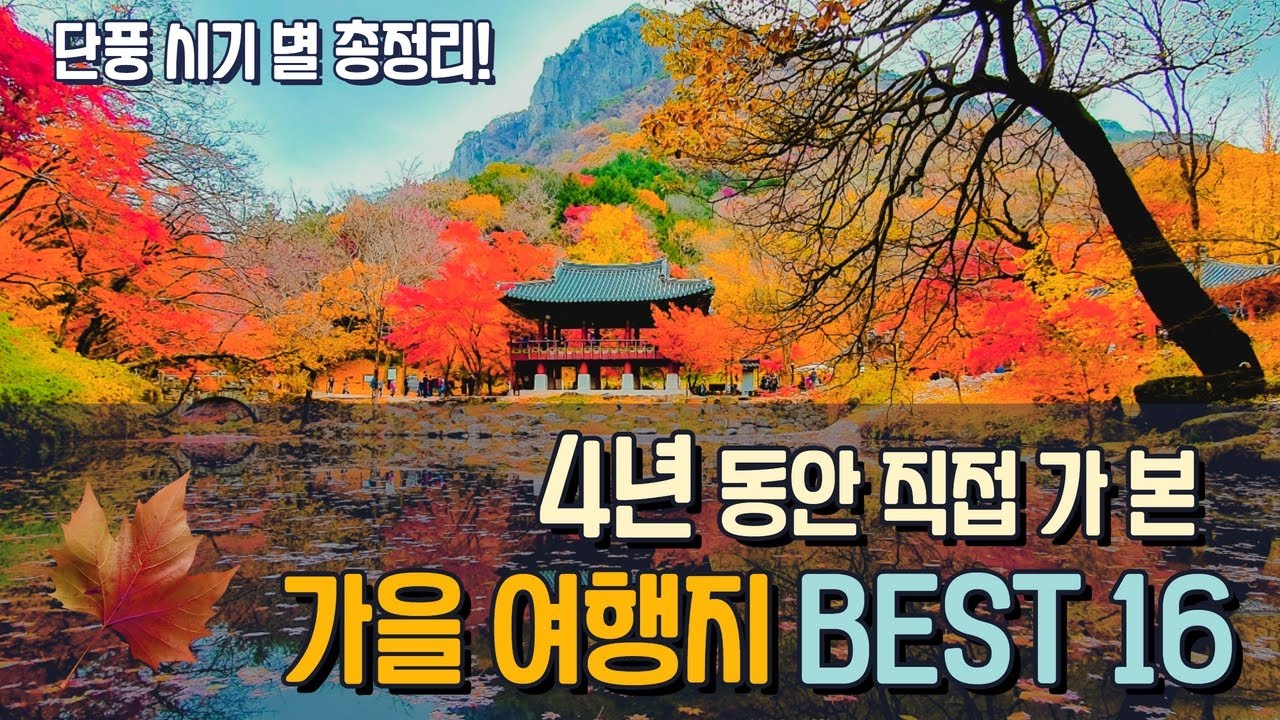 4년 간 직접 다녀온 가을 단풍여행지 총정리!!  베스트 16를 엄선해서 추천합니다.  화담숲 문광저수지 도리마을 백양사 오색약수 선재길 절골계곡 외