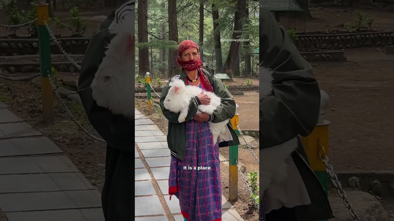 📍 Van Vihar, Manali (HimachanPradesh)