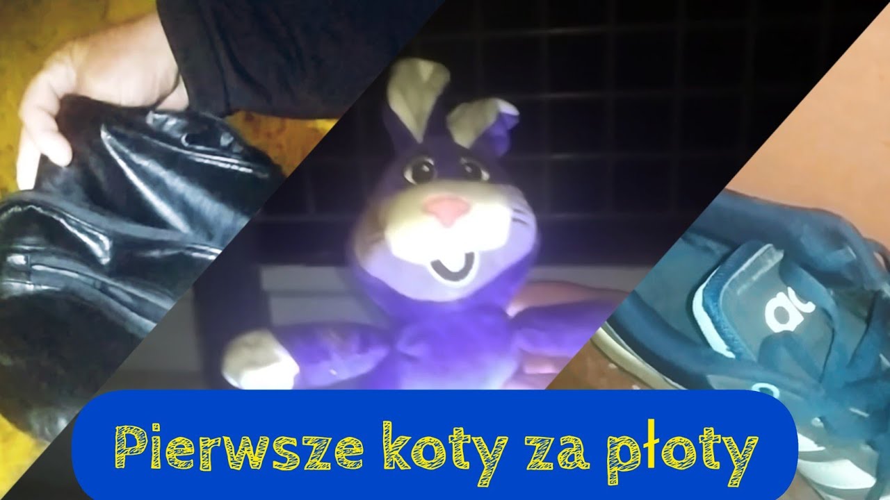 Śmietnikowy Raj 1 - Czy śmietniki zawsze kryją w sobie skarby?