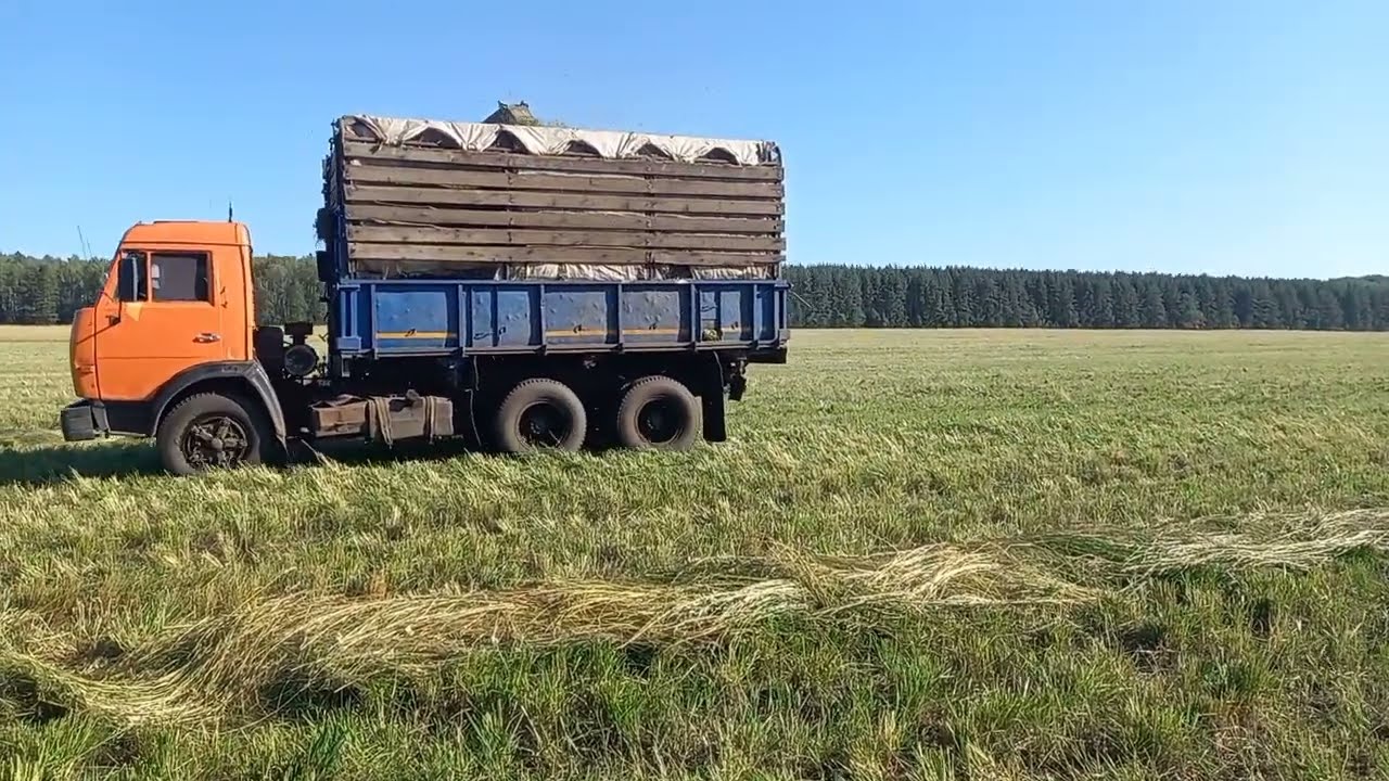Заготовка сенажа 2025 УЭС 280, КСК 100, Камазы, Т 150к, РТМ 160, КСУ 1, К701, АГРОПОЛО