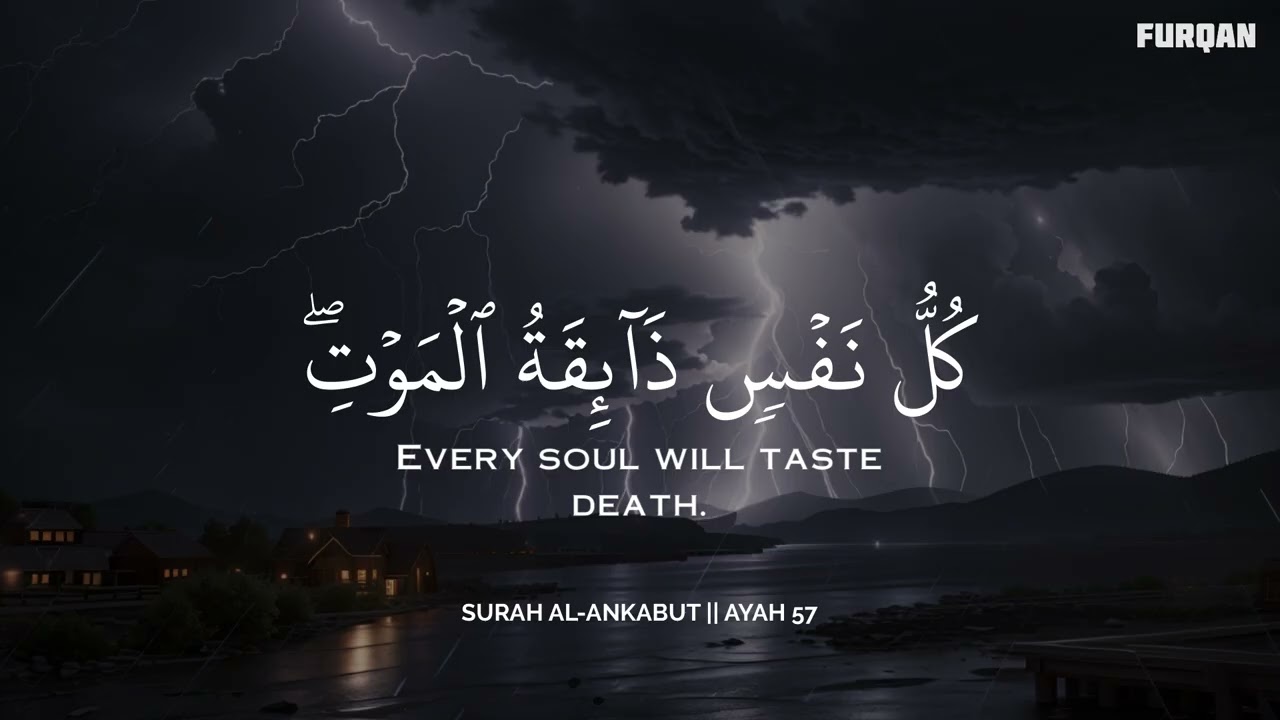 ساعة كاملة🕛🎧 | تلاوة تقشعر لها الأبدان بصوت محمد هشام | Reciter Mohamed Hesham | 💚🎧