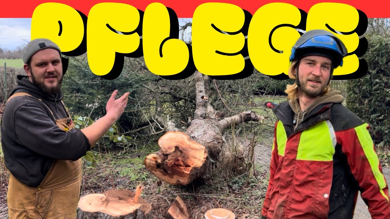 PFLEGE | Eine Menge Arbeit, an unserem Haus 🤯 | HARDMOOD