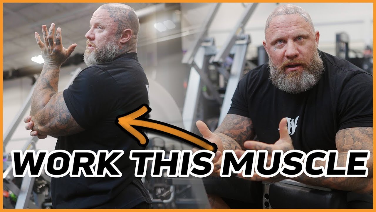 TRAINING TO TARGET THE SERRATUS ANTERIOR | MIKE VAN WYCK
