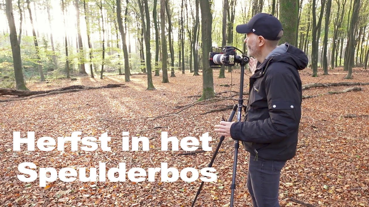 Herfst in het Speulderbos | Hut van Cartouche | Landschapsfotografie | #107