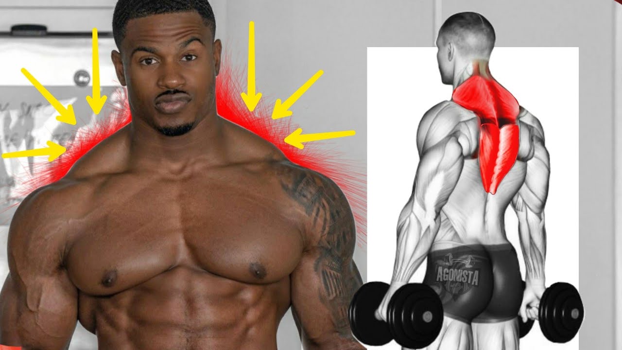 9 Exercícios Para Um Treino de Trapézio Completo Insano