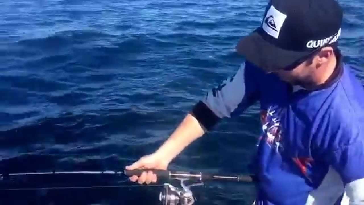 How to fish the Shads 50gram Jig n Vibe.Goldcoast Snapper and Pearl Perch.