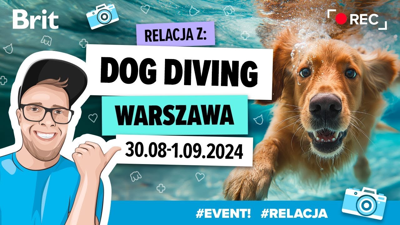 EVENT: Relacja z Dog Diving 30.08-1.09.2024r. w Warszawie - Brit Polska