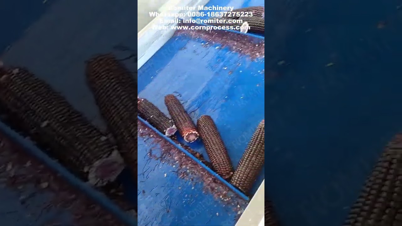 Automatic Sweet Corn Dehusker and Double Head Cutting Machine