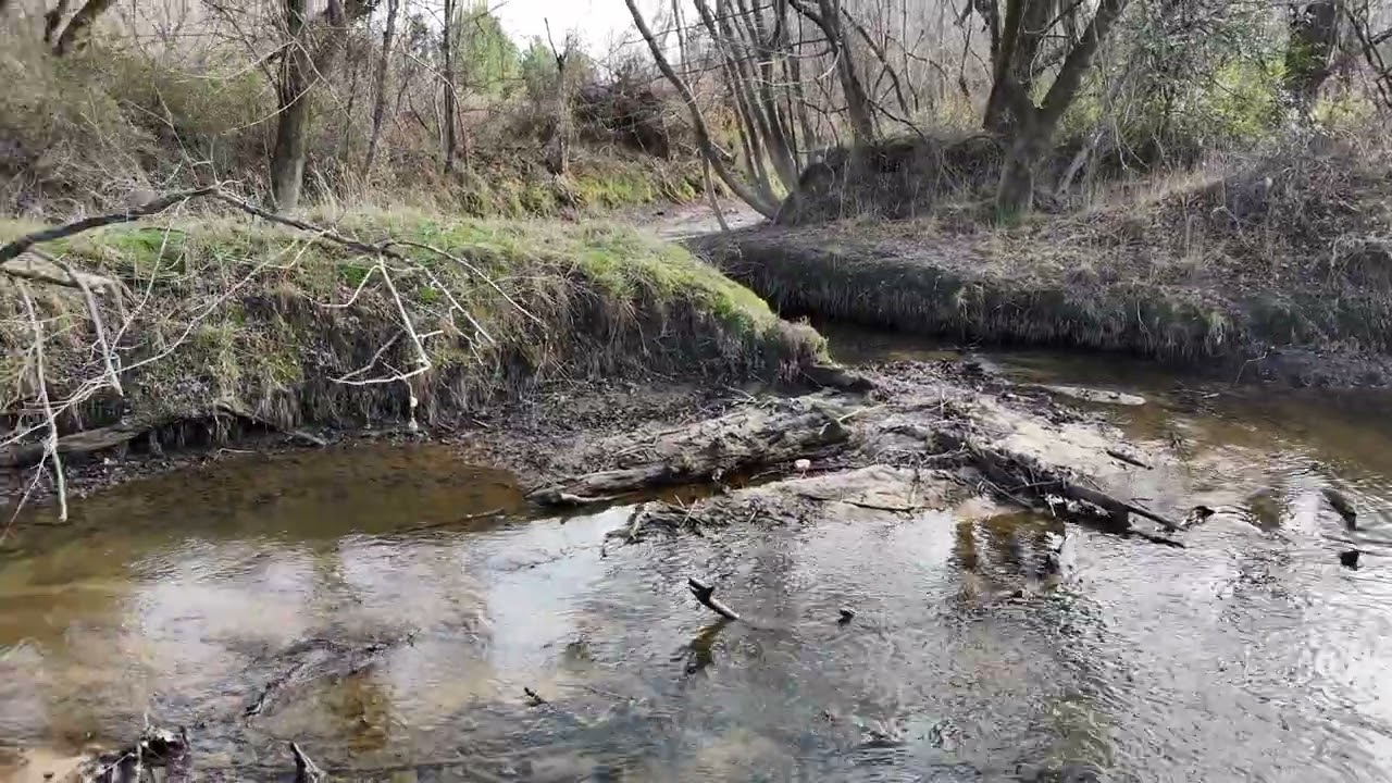 Clear Creek and Mud Creek -winter 2026