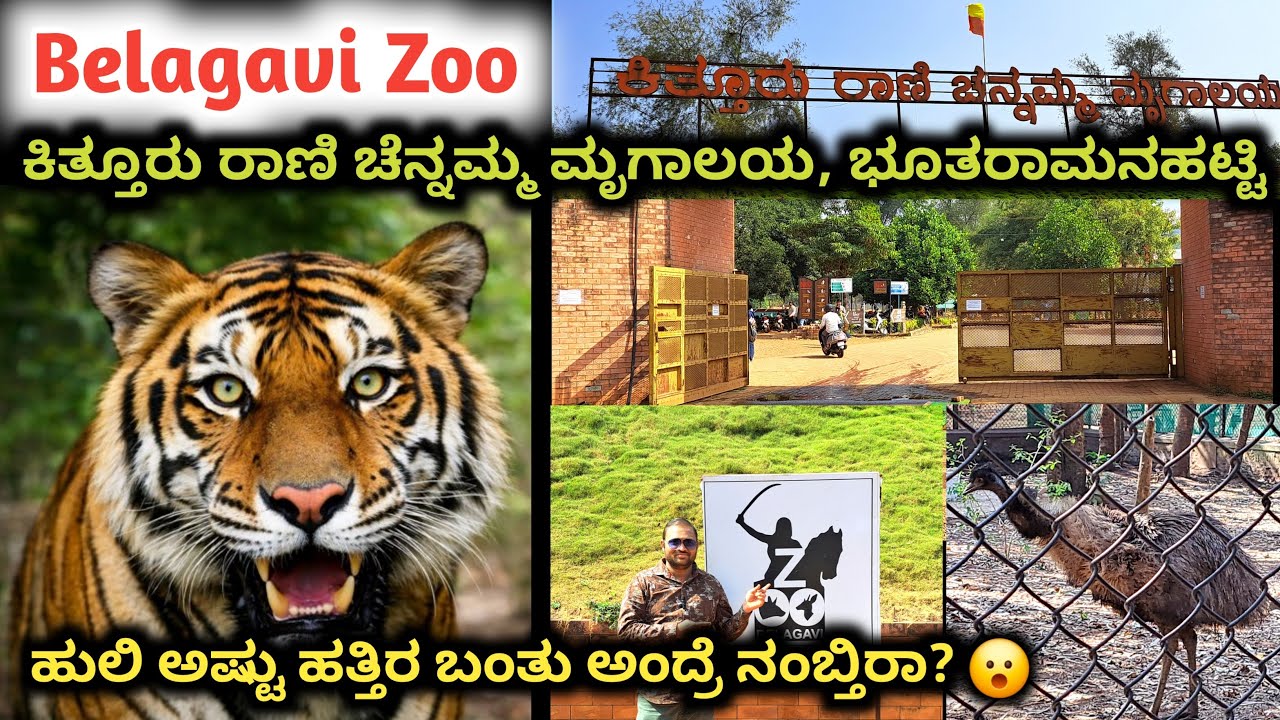 ಯಪ್ಪಾ 😱 ಹುಲಿ ತುಂಬ ಹತ್ತಿರ ಬಂತು ! Heart Beat ಜೋರಾಯ್ತು 😨 । Belgaum Zoo Bhutaramanahatti Karnataka