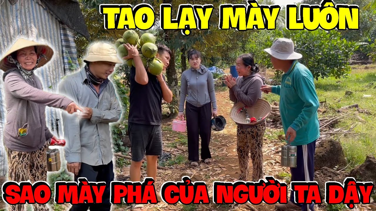 Ba Báo Tranh Thủ Ăn Cắp Dừa Mời Dì Hương Uống Giải Khát Và Cái Kết | Hải Ka Vlogs