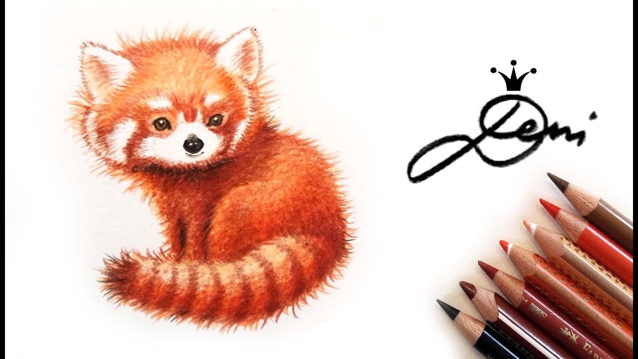 Katzenbär malen, kleinen roten Panda zeichnen lernen? Drawing red panda! Pисува Червена панда