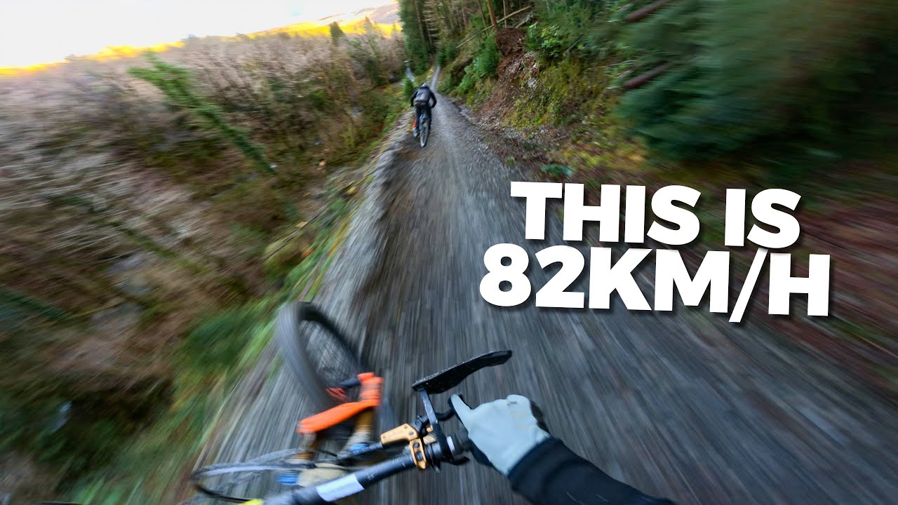 This Is Why I Travel To The UK! | DYFI BIKEPARK