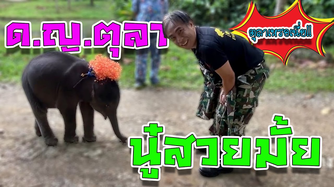 น้องตุลา : ตุลาเป็นช้างตลก วันนี้ขอขัดใจแม่แม่ ขอเป็นคนสวยสักวัน!!! 👩‍🦰 หัวหน้าขยันแซวหนูรักหนูมั้ย