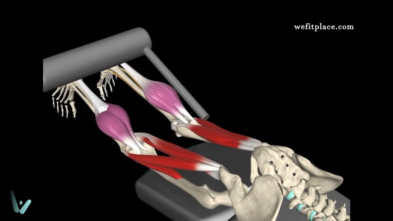 Como 😱 CURL FEMORAL para FEMORAL🍑 - Análisis Biomecánico EN 1 MINUTO 📍