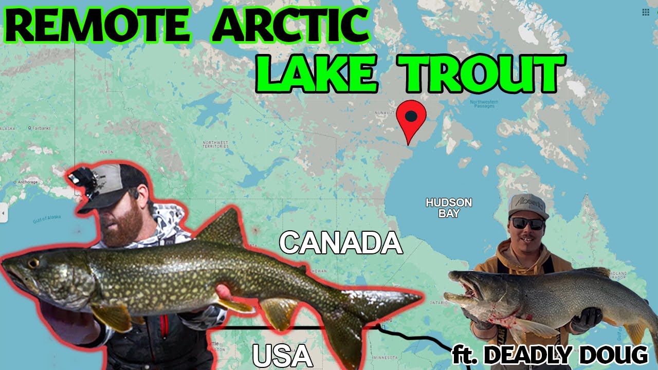 Ice Fishing for Remote Northern LAKE TROUT in POLAR BEAR Territory