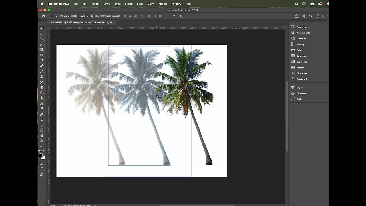 Photoshop Layering & Depth Exercise: Palm Tree Composition Objective