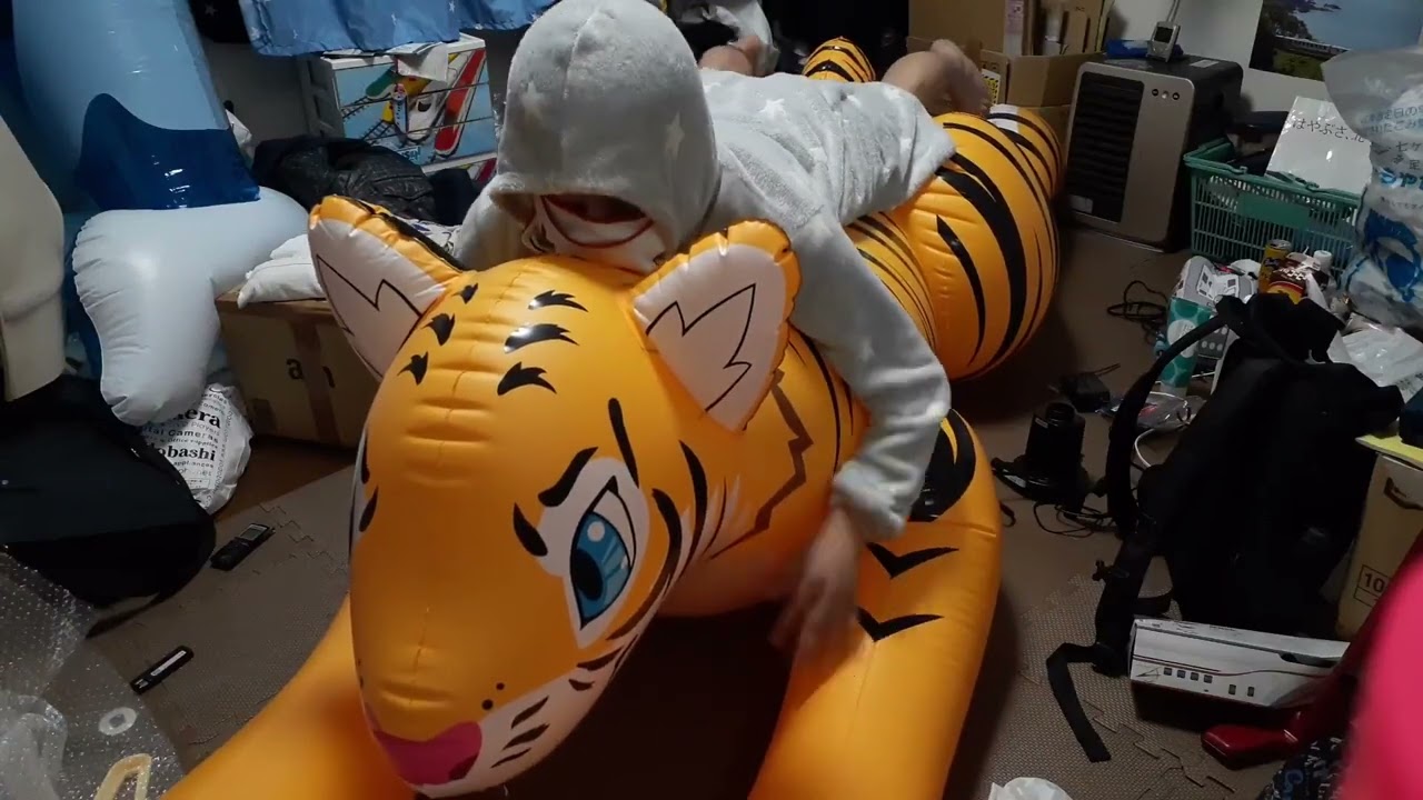 トラの浮き輪 Inflatable world tiger inflation ride and deflate