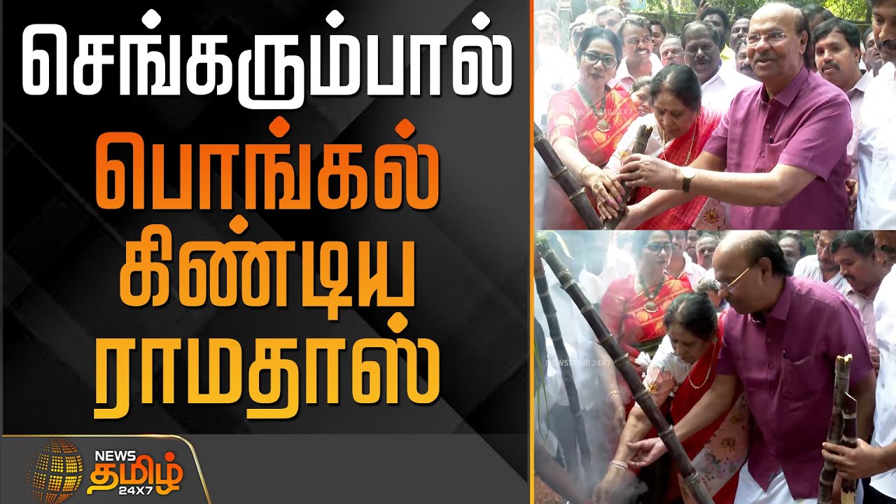செங்கரும்பால் பொங்கல் கிண்டிய ராமதாஸ் | Ramadoss | Anbumani | Pongal Celebration
