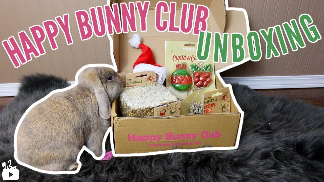 ANOTHER PACKAGE? Happy Bunny Club Christmas Box!