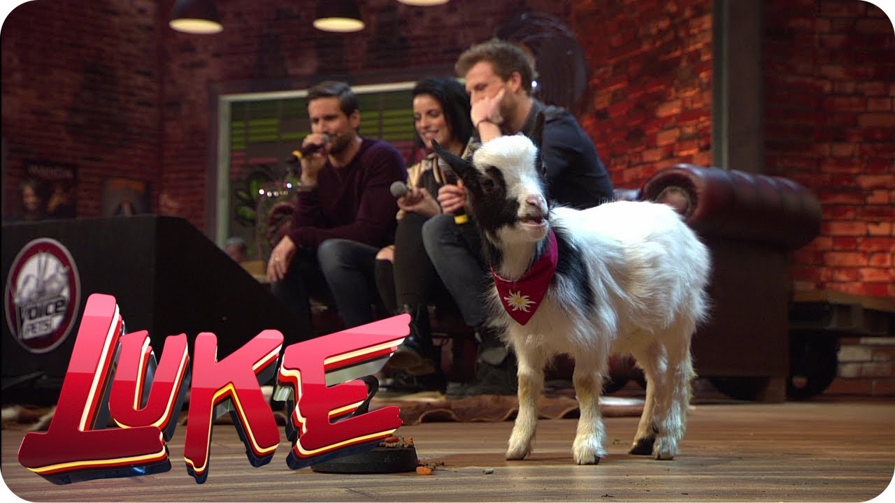 The Voice Pets - LUKE! Die Woche und ich