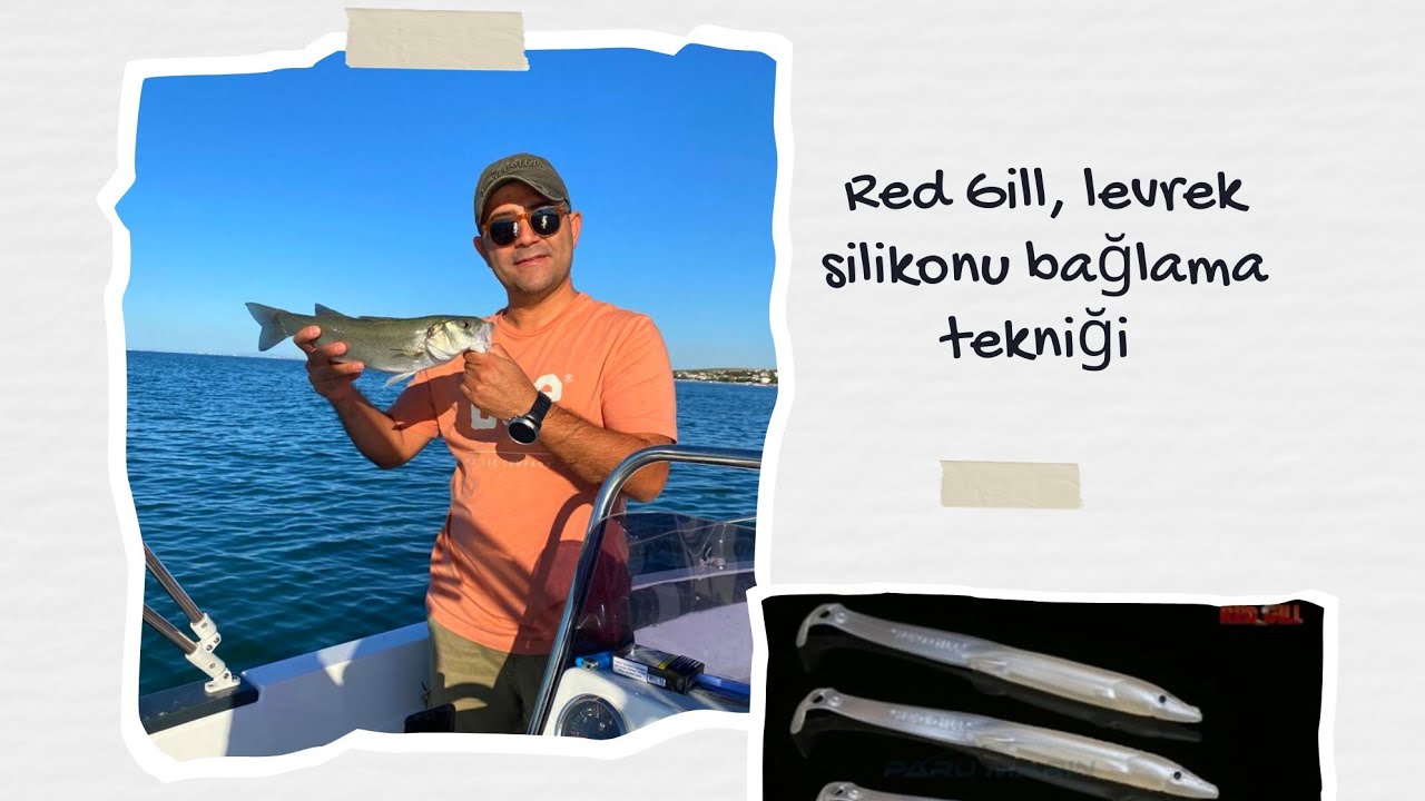 RED GILL, LEVREK SİLİKONU BAĞLAMA TEKNİĞİ ( TEKNEDEN SIRTI YAPMAK İÇİN )