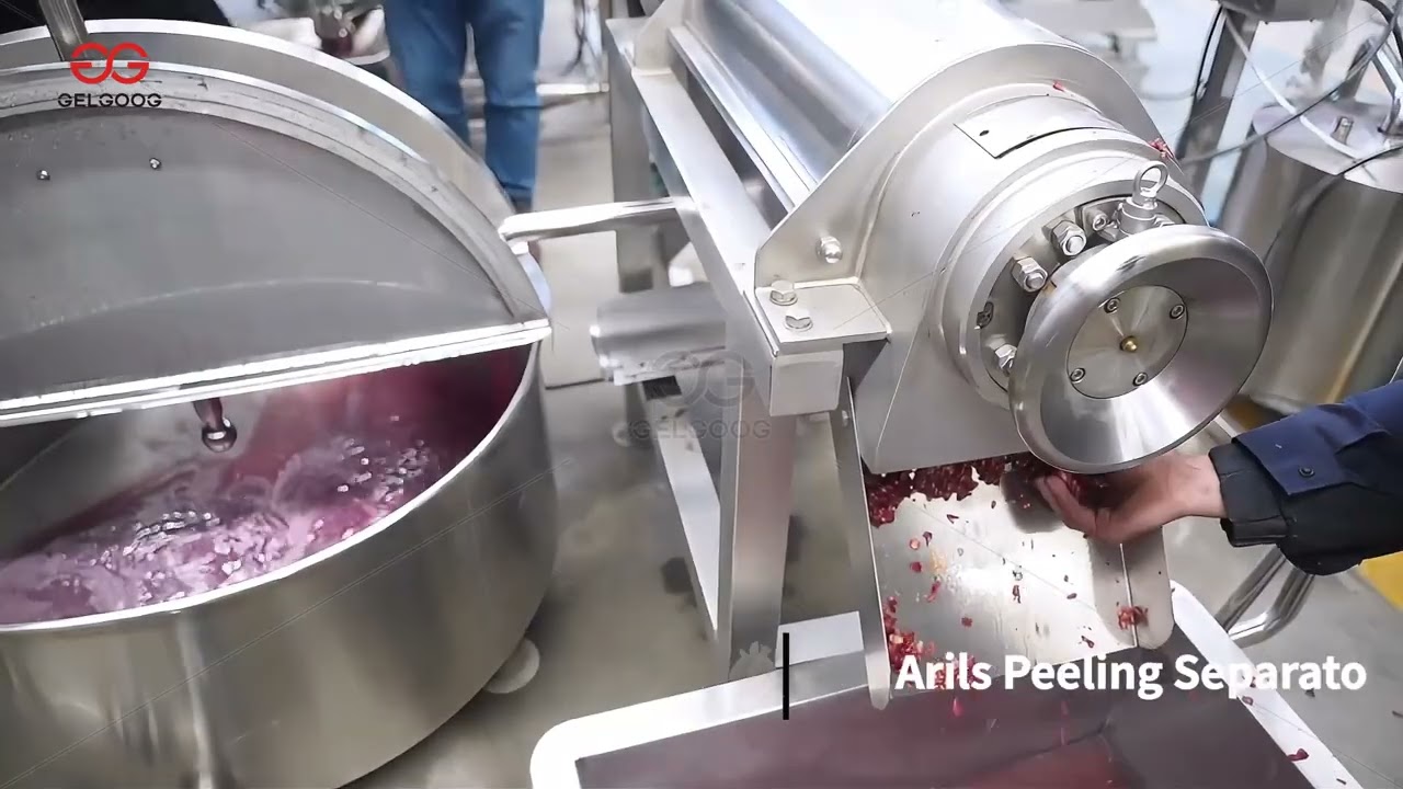 Pomegranate Juice Processing Line