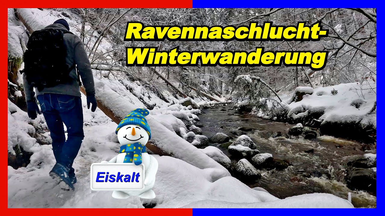 Wanderung durch die Ravennaschlucht ab Bahnhof Hinterzarten | eine frostige Angelegenheit  🐻‍❄️😉