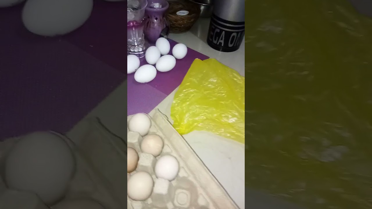 My fully automatic egg incubator set up