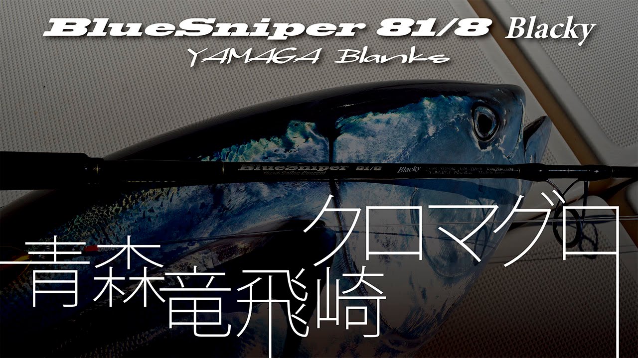 青森・竜飛崎クロマグロ釣行　BlueSniper 81/8 Blacky