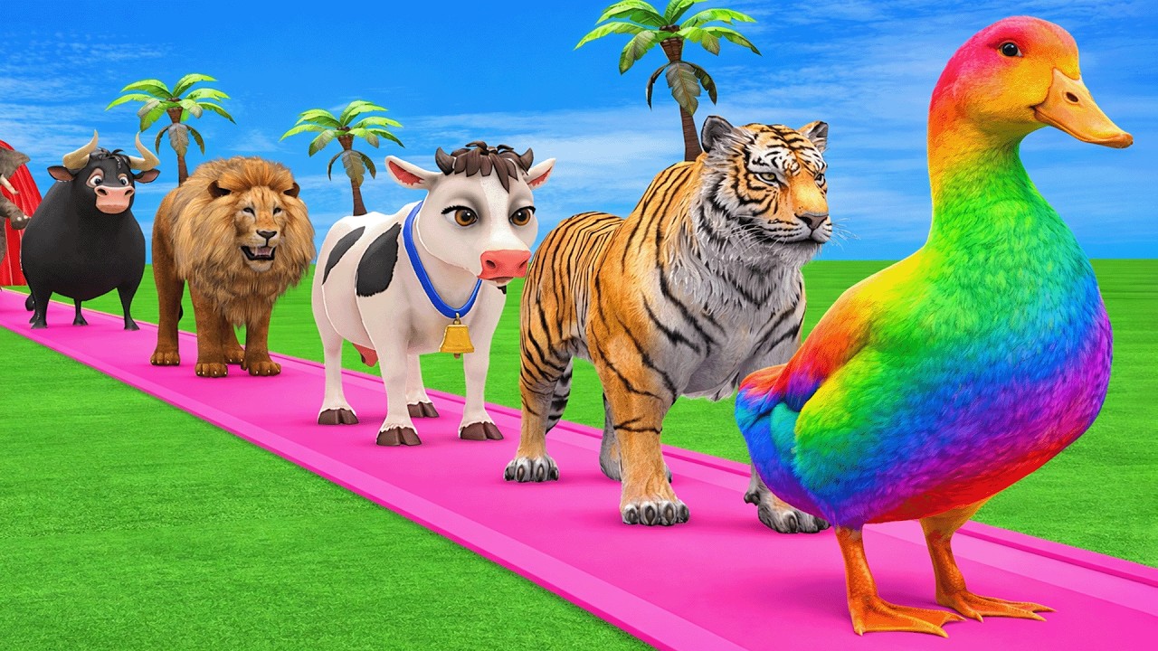 Long Slide Game With Elephant Gorilla Buffalo Hippopotamus Tiger - 3d Animal Game - Funny 3d Animals